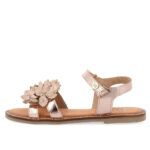 47882 Avignon - Imagen 3