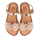 47882 Avignon - Imagen 4