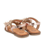 47882 Avignon - Imagen 5