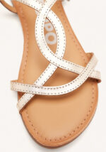 Lamim Gold - Imagen 3