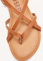 Lelex Tan - Imagen 3