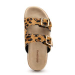 Guenthel Leopardo - Imagen 2