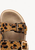 Guenthel Leopardo - Imagen 6