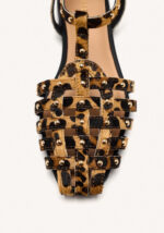 Hatfield Leopardo - Imagen 4