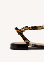 Hatfield Leopardo - Imagen 5