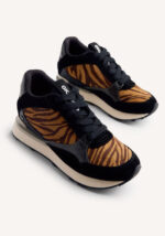 Baroda Brown - Imagen 3