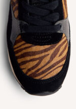 Baroda Brown - Imagen 6