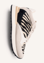 Baroda Cebra - Imagen 5