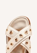 HILES Platino - Imagen 3