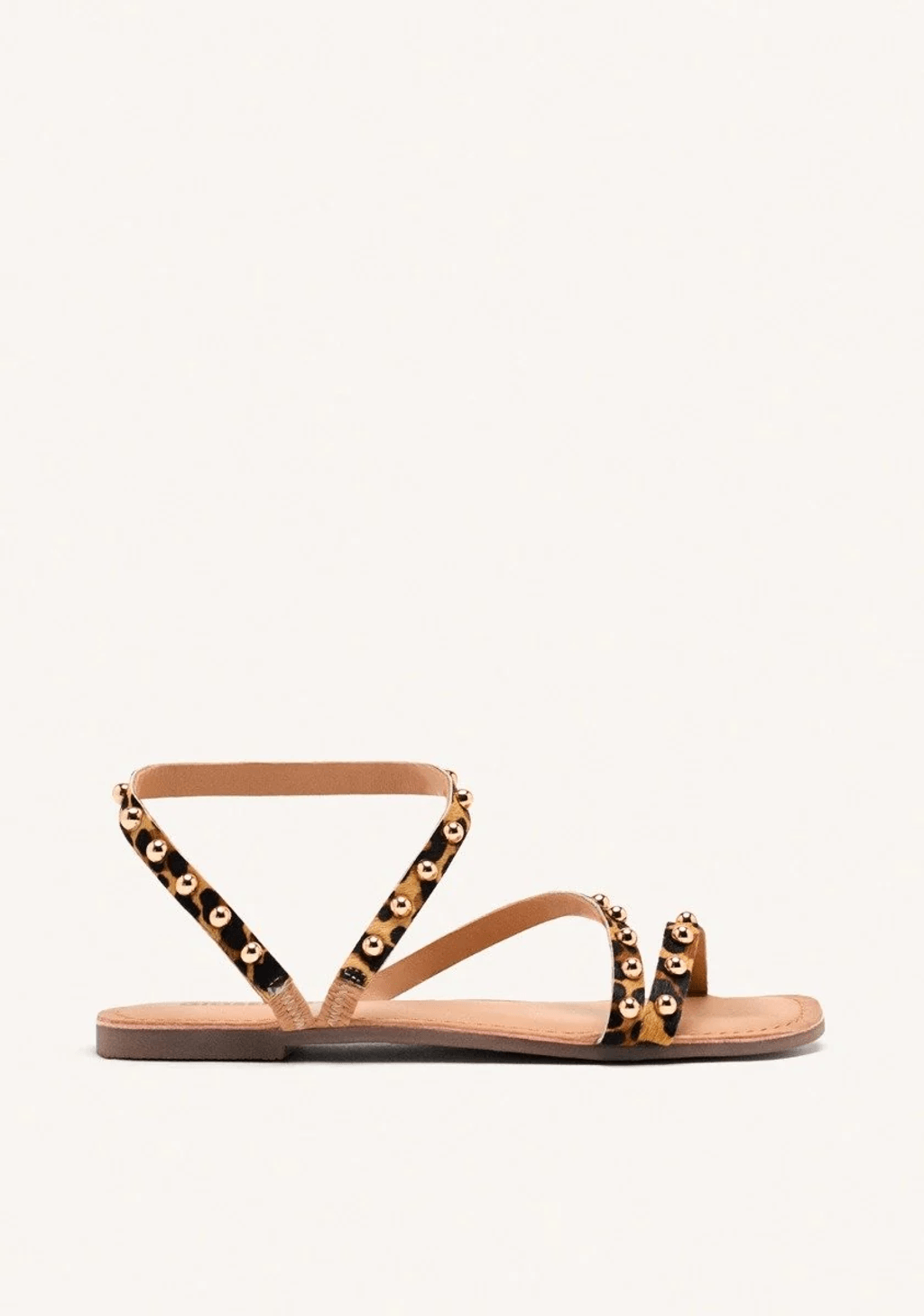2576-01a0dea7-cee5-7300-8856-a938ddd3c608.png Ogema Leopardo - Imagen 1